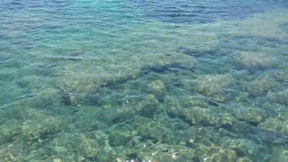 No Copyright Video, No Copyright Stock Footage, No Copyright Stock Video Clip