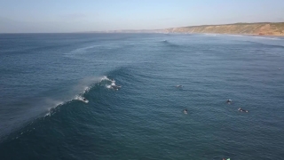 No Copyright Video, No Copyright Stock Footage, No Copyright Stock Video Clip