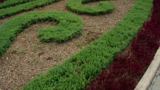 No Copyright Video, No Copyright Stock Footage, No Copyright Stock Video Clip