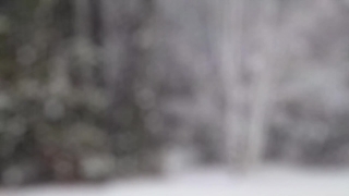 No Copyright Video, No Copyright Stock Footage, No Copyright Stock Video Clip