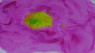 No Copyright Video, No Copyright Stock Footage, No Copyright Stock Video Clip