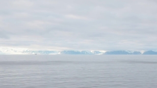 No Copyright Video, No Copyright Stock Footage, No Copyright Stock Video Clip