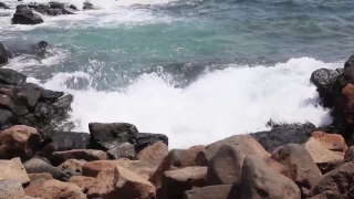 No Copyright Video, No Copyright Stock Footage, No Copyright Stock Video Clip