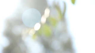 No Copyright Video, No Copyright Stock Footage, No Copyright Stock Video Clip