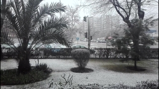 No Copyright Video, No Copyright Stock Footage, No Copyright Stock Video Clip