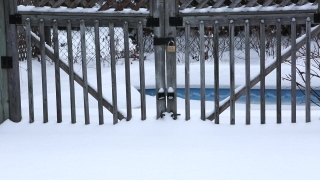 No Copyright Video, No Copyright Stock Footage, No Copyright Stock Video Clip