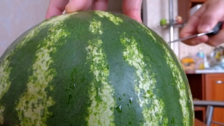 No Copyright Video, No Copyright Stock Footage, No Copyright Stock Video Clip