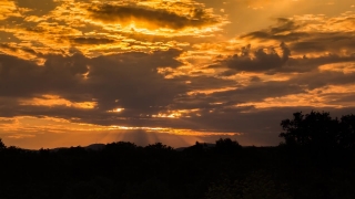 No Copyright Video, No Copyright Stock Footage, No Copyright Stock Video Clip