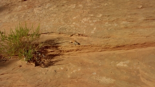 No Copyright Video, No Copyright Stock Footage, No Copyright Stock Video Clip