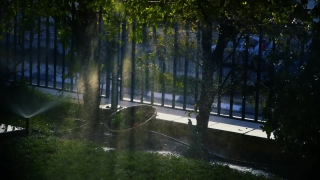 No Copyright Video, No Copyright Stock Footage, No Copyright Stock Video Clip