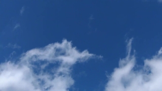 No Copyright Video, No Copyright Stock Footage, No Copyright Stock Video Clip