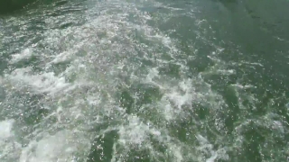 No Copyright Video, No Copyright Stock Footage, No Copyright Stock Video Clip