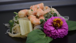 No Copyright Video, No Copyright Stock Footage, No Copyright Stock Video Clip