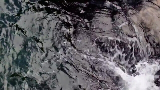 No Copyright Video, No Copyright Stock Footage, No Copyright Stock Video Clip