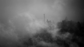 No Copyright Video, No Copyright Stock Footage, No Copyright Stock Video Clip