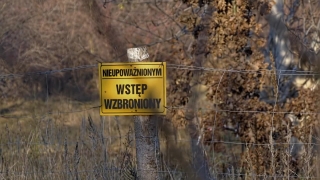 No Copyright Video, No Copyright Stock Footage, No Copyright Stock Video Clip