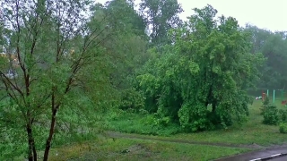 No Copyright Video, No Copyright Stock Footage, No Copyright Stock Video Clip