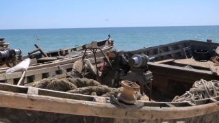 No Copyright Video, No Copyright Stock Footage, No Copyright Stock Video Clip