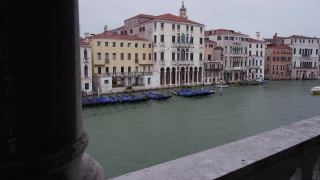 No Copyright Video, No Copyright Stock Footage, No Copyright Stock Video Clip