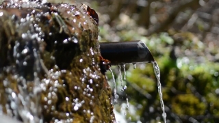 No Copyright Video, No Copyright Stock Footage, No Copyright Stock Video Clip