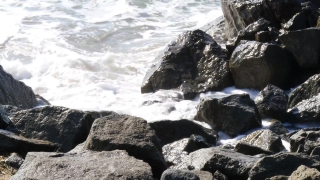 No Copyright Video, No Copyright Stock Footage, No Copyright Stock Video Clip