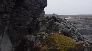 No Copyright Video, No Copyright Stock Footage, No Copyright Stock Video Clip