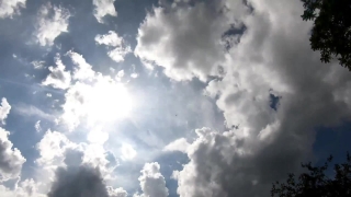 No Copyright Video, No Copyright Stock Footage, No Copyright Stock Video Clip