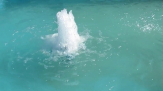 No Copyright Video, No Copyright Stock Footage, No Copyright Stock Video Clip