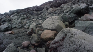 No Copyright Video, No Copyright Stock Footage, No Copyright Stock Video Clip