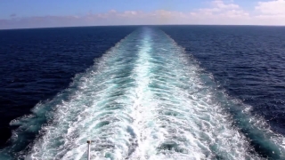 No Copyright Video, No Copyright Stock Footage, No Copyright Stock Video Clip