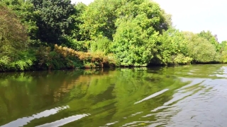 No Copyright Video, No Copyright Stock Footage, No Copyright Stock Video Clip