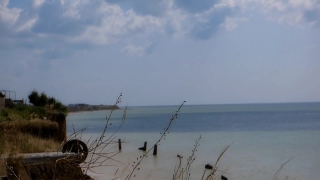 No Copyright Video, No Copyright Stock Footage, No Copyright Stock Video Clip