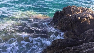 No Copyright Video, No Copyright Stock Footage, No Copyright Stock Video Clip