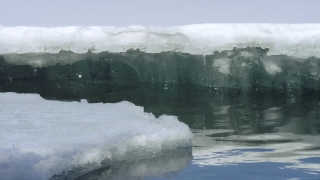 No Copyright Video, No Copyright Stock Footage, No Copyright Stock Video Clip