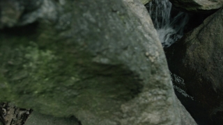 No Copyright Video, No Copyright Stock Footage, No Copyright Stock Video Clip