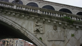 No Copyright Video, No Copyright Stock Footage, No Copyright Stock Video Clip