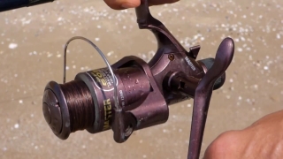 No Copyright Video, No Copyright Stock Footage, No Copyright Stock Video Clip