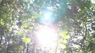 No Copyright Video, No Copyright Stock Footage, No Copyright Stock Video Clip