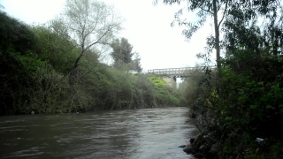 No Copyright Video, No Copyright Stock Footage, No Copyright Stock Video Clip