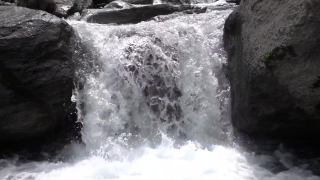 No Copyright Video, No Copyright Stock Footage, No Copyright Stock Video Clip