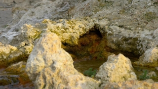 No Copyright Video, No Copyright Stock Footage, No Copyright Stock Video Clip