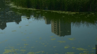 No Copyright Video, No Copyright Stock Footage, No Copyright Stock Video Clip