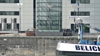 No Copyright Video, No Copyright Stock Footage, No Copyright Stock Video Clip