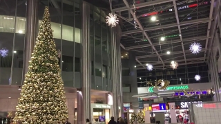 No Copyright Video, No Copyright Stock Footage, No Copyright Stock Video Clip