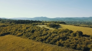 No Copyright Video, No Copyright Stock Footage, No Copyright Stock Video Clip