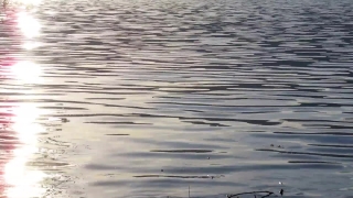 No Copyright Video, No Copyright Stock Footage, No Copyright Stock Video Clip