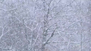 No Copyright Video, No Copyright Stock Footage, No Copyright Stock Video Clip