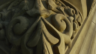 No Copyright Video, No Copyright Stock Footage, No Copyright Stock Video Clip