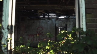 No Copyright Video, No Copyright Stock Footage, No Copyright Stock Video Clip