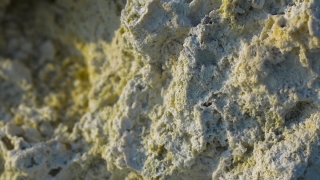 No Copyright Video, No Copyright Stock Footage, No Copyright Stock Video Clip